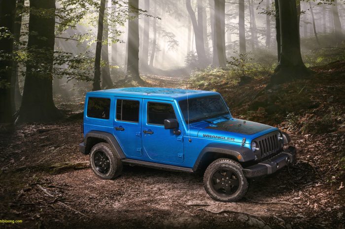 Ladakh Thar/Gypsy Trip